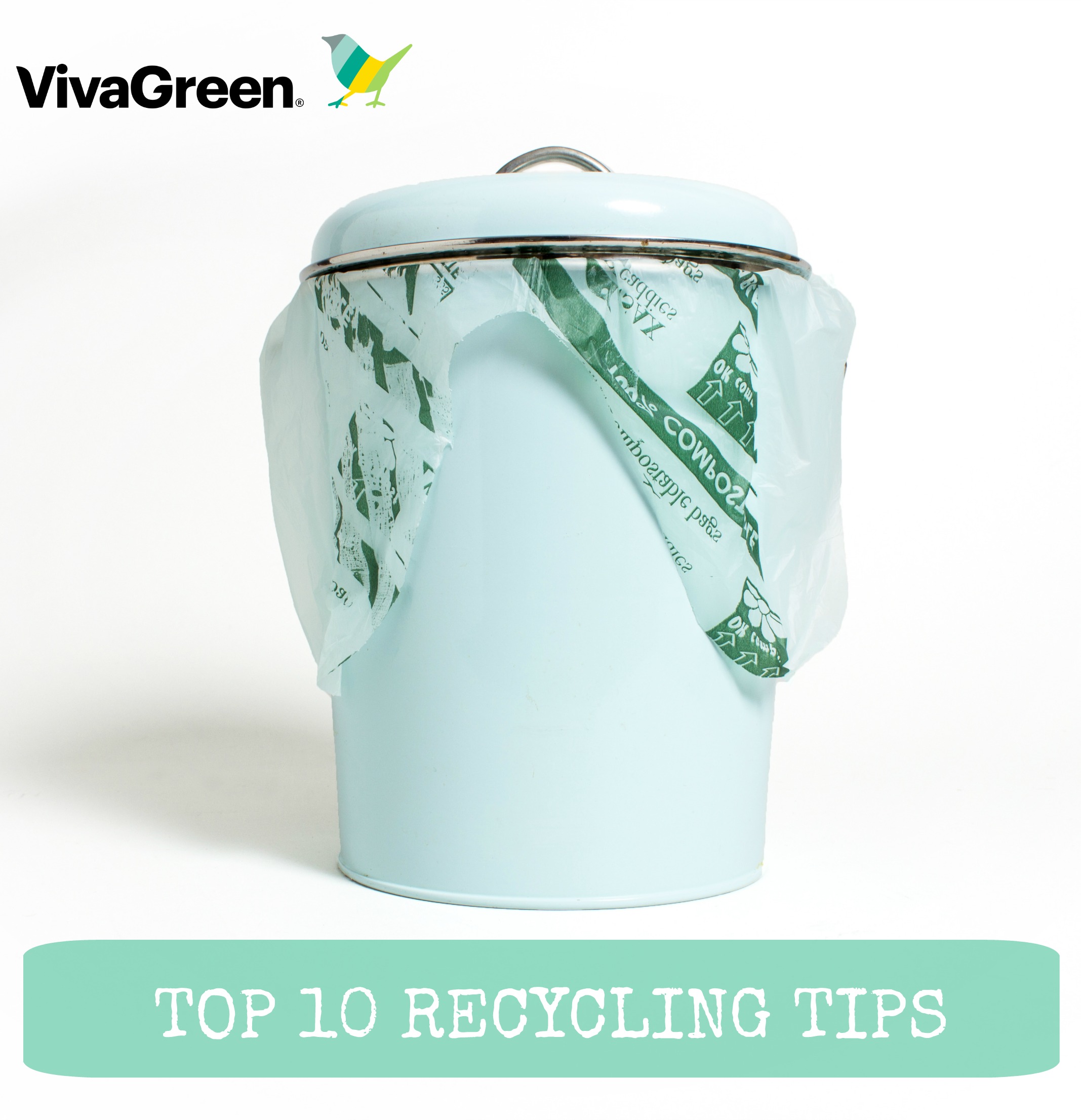 Edition couscous Asser Top 10 Recycling Tips - Vivagreen Group