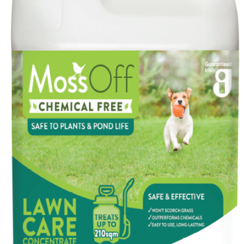Safe moss killer for lawns